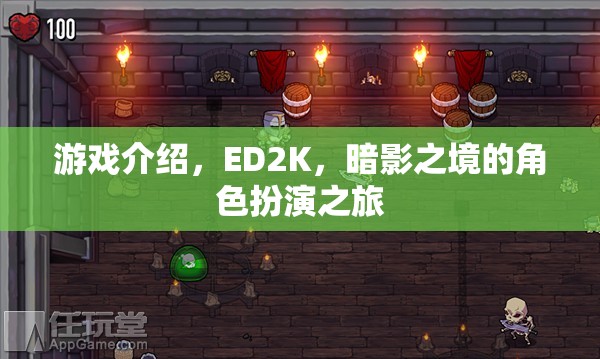 ED2K暗影之境，沉浸式角色扮演的奇幻之旅