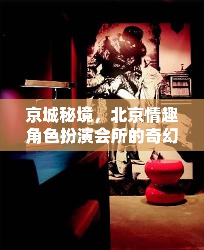 京城秘境，北京情趣角色扮演會(huì)所的奇幻探索之旅