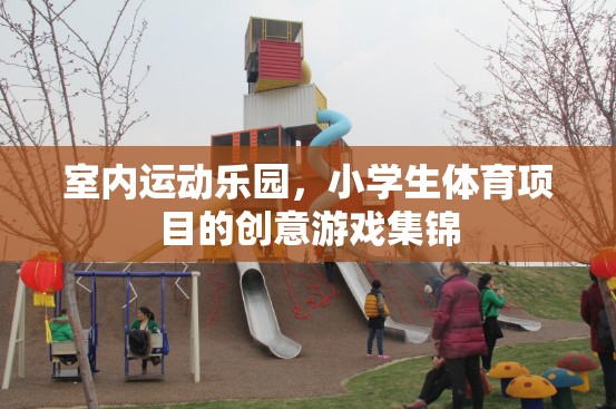 室內(nèi)運動樂園，小學生體育項目的創(chuàng)意游戲集錦