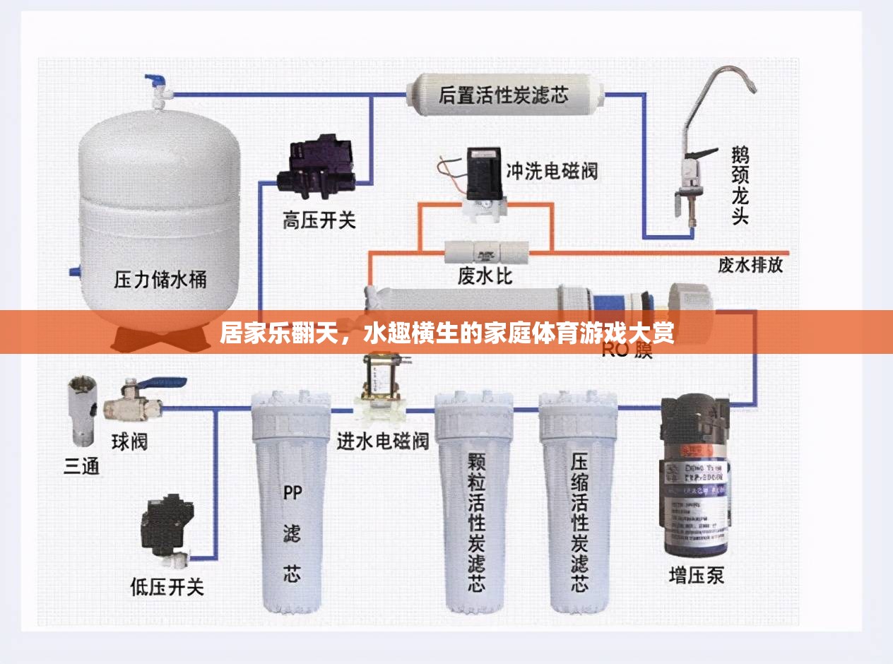 家庭水趣橫生，居家樂(lè)翻天的體育游戲大賞