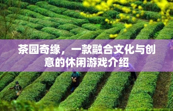 茶園奇緣，文化與創(chuàng)意的休閑游戲之旅