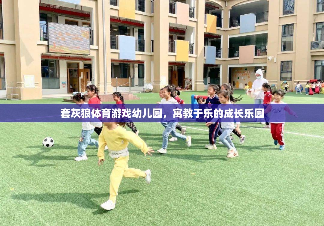 套灰狼體育游戲幼兒園，寓教于樂的成長樂園