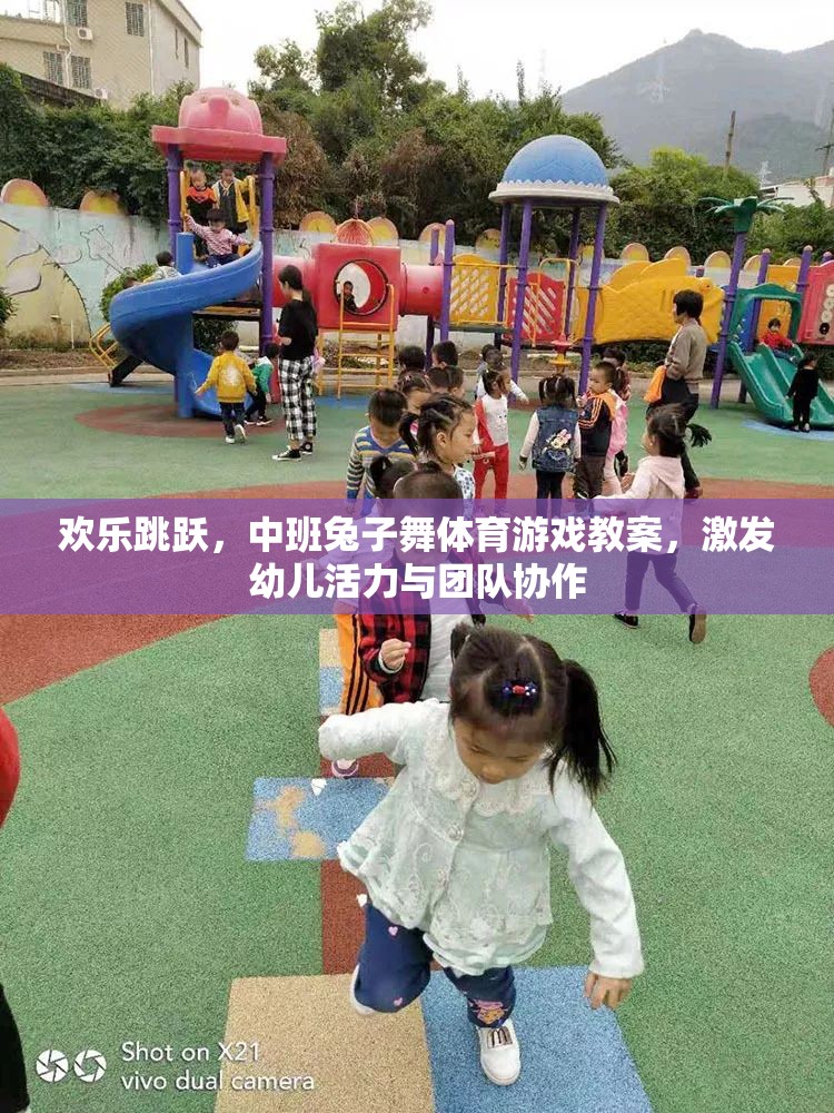 歡樂跳躍，中班兔子舞體育游戲教案，激發(fā)幼兒活力與團隊協作