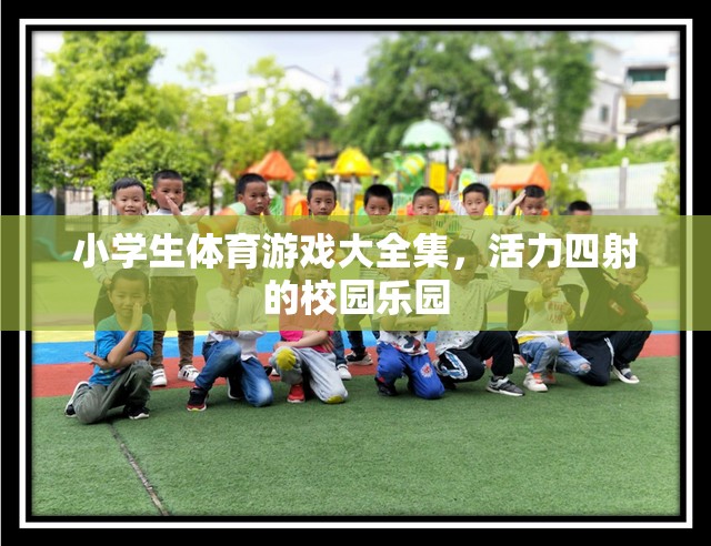 小學(xué)生體育游戲大全集，打造活力四射的校園樂(lè)園