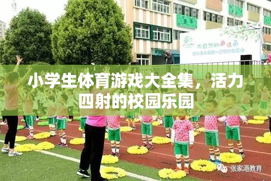 小學(xué)生體育游戲大全集，打造活力四射的校園樂(lè)園