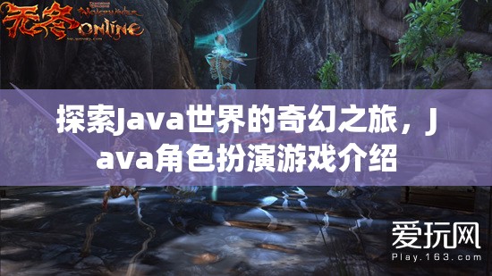 探索Java世界的奇幻之旅，揭秘Java角色扮演游戲