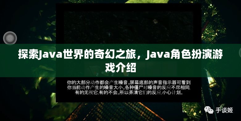 探索Java世界的奇幻之旅，揭秘Java角色扮演游戲