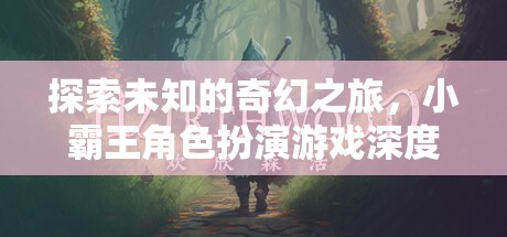 小霸王角色扮演游戲，一場探索未知的奇幻之旅深度解析