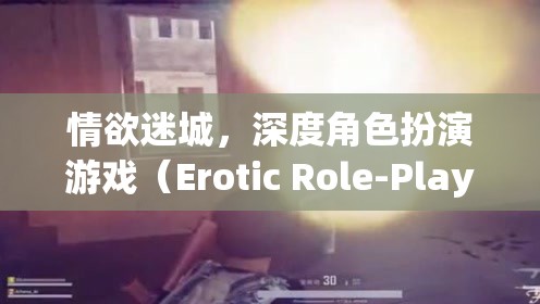 情欲迷城，深度角色扮演游戲（Erotic Role-Playing Game, 簡稱ERPG）