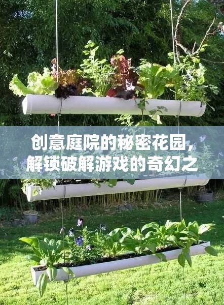 解鎖創(chuàng)意庭院的秘密花園，一場破解游戲的奇幻之旅