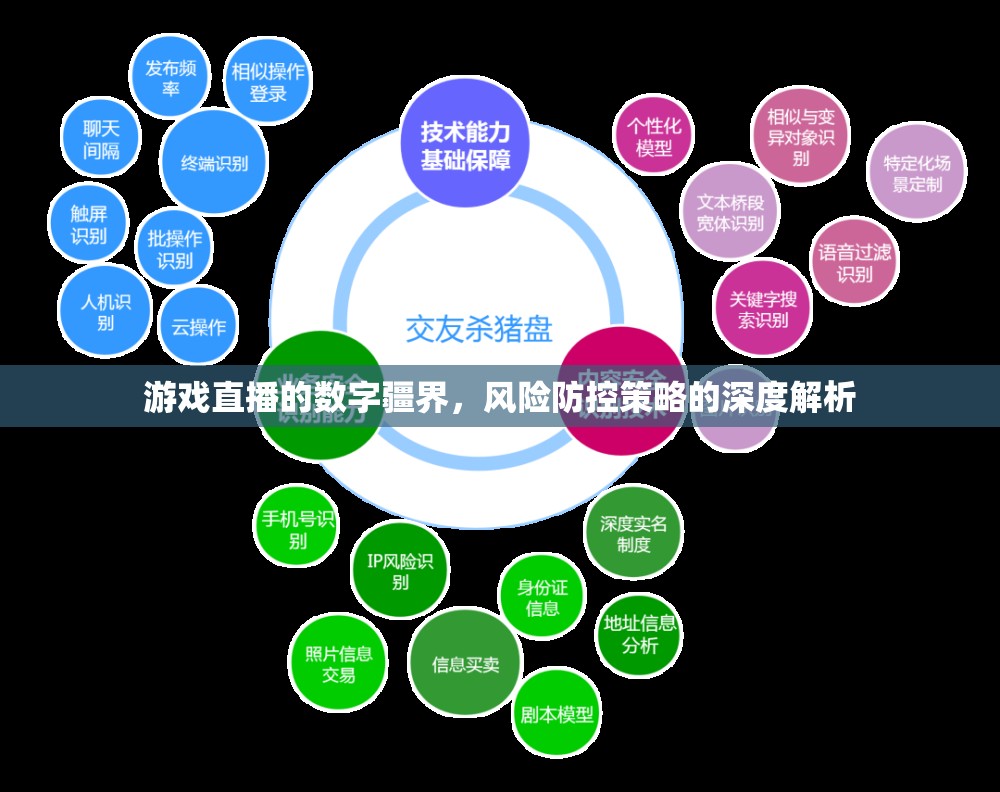 游戲直播的數(shù)字疆界，風(fēng)險防控策略的深度解析