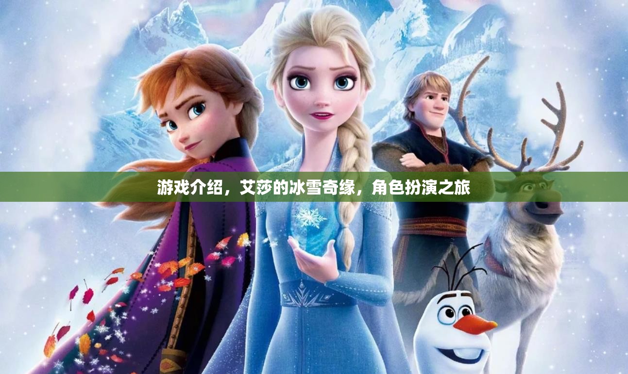 艾莎的冰雪奇緣，角色扮演之旅