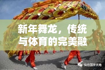 新年舞龍，傳統(tǒng)文化的現(xiàn)代體育演繹——?jiǎng)?chuàng)意體育游戲教案