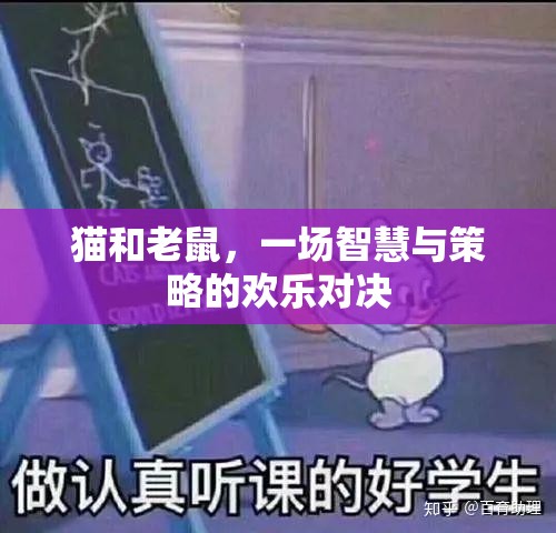 貓鼠智斗，歡樂對決中的智慧與策略