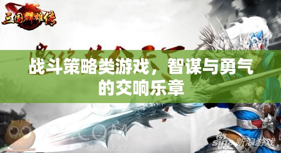 智謀與勇氣的交響，戰(zhàn)斗策略游戲