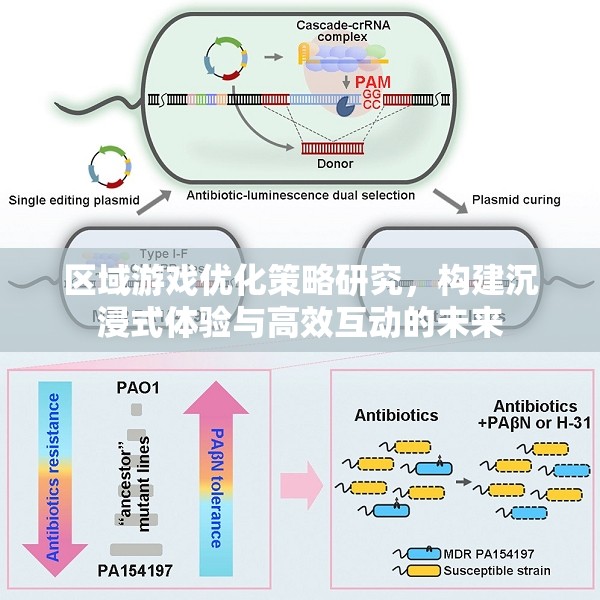 區(qū)域游戲優(yōu)化策略研究，構(gòu)建沉浸式體驗與高效互動的未來