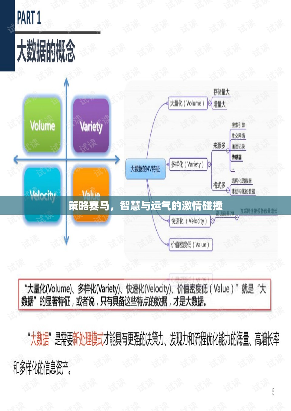 智慧與運(yùn)氣的激情碰撞，策略賽馬