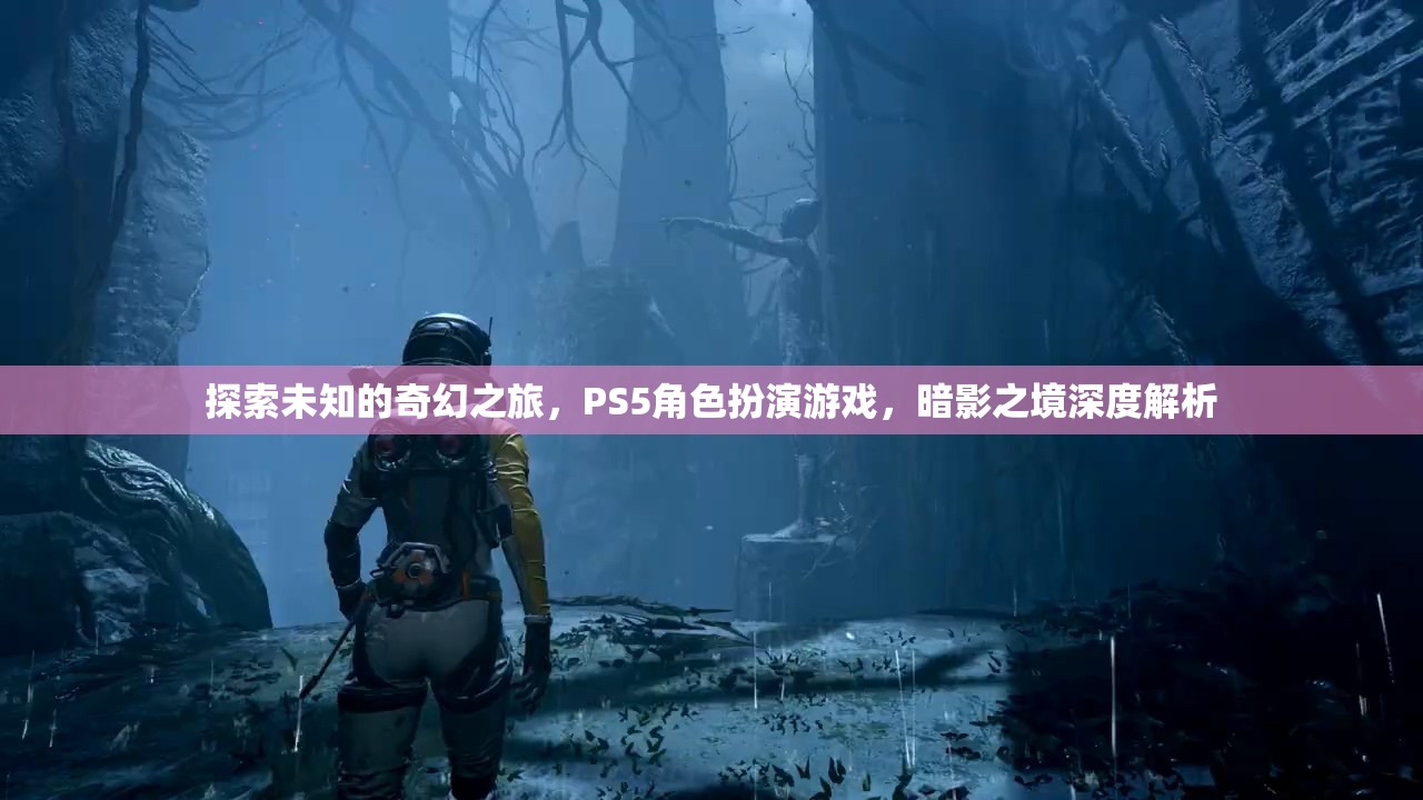 探索未知的奇幻之旅，PS5角色扮演游戲暗影之境深度解析