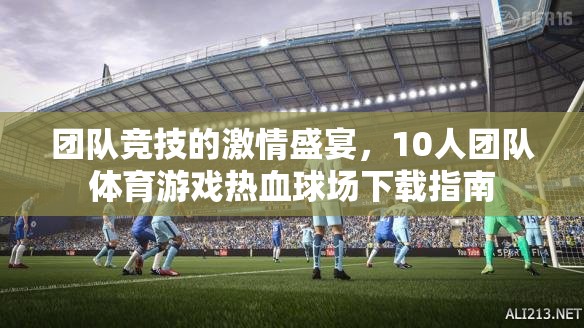 熱血球場，10人團隊體育游戲下載指南，點燃團隊競技的激情盛宴