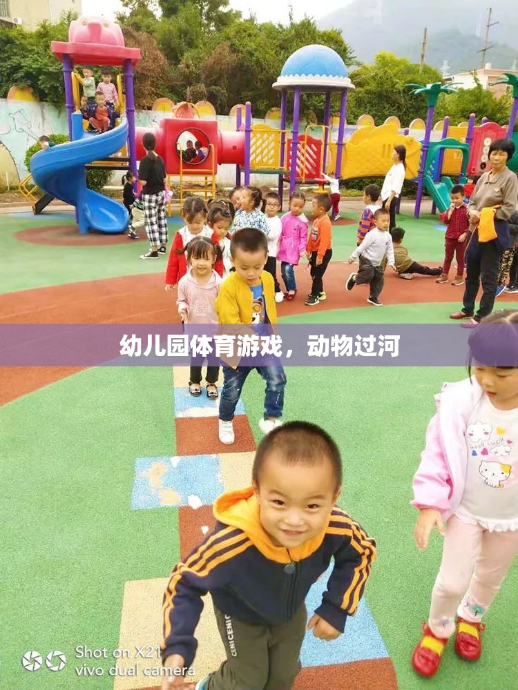 幼兒園體育游戲，動物過河