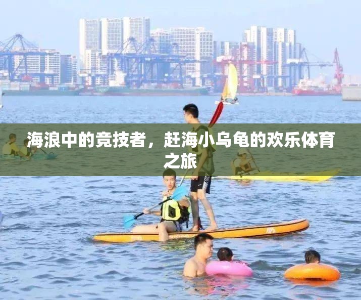 海浪中的競技者，趕海小烏龜?shù)臍g樂體育之旅