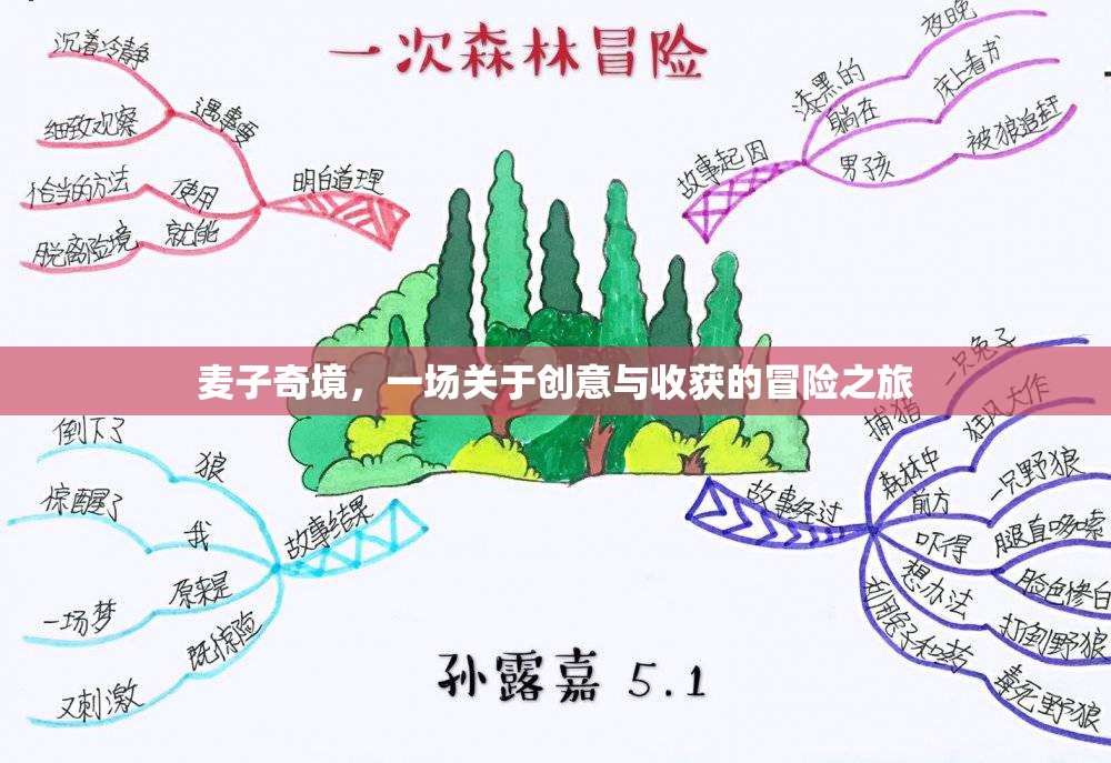 麥子奇境，一場(chǎng)關(guān)于創(chuàng)意與收獲的冒險(xiǎn)之旅