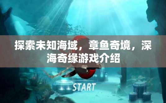 探索神秘深海，章魚奇境與深海奇緣游戲揭秘