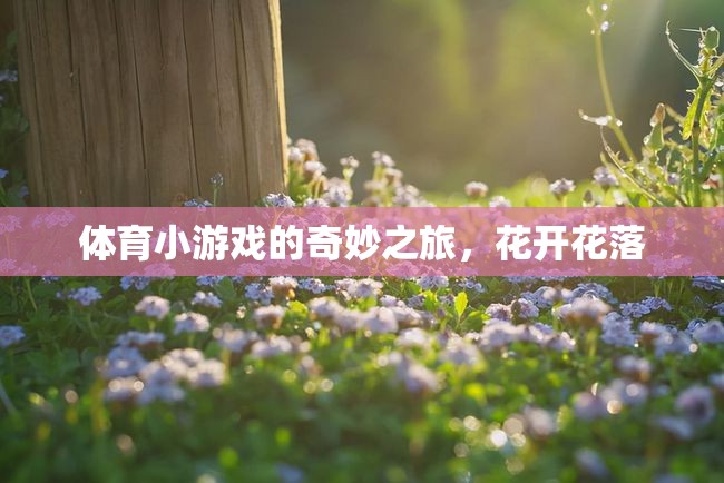 體育小游戲的奇妙之旅，花開(kāi)花落的樂(lè)趣