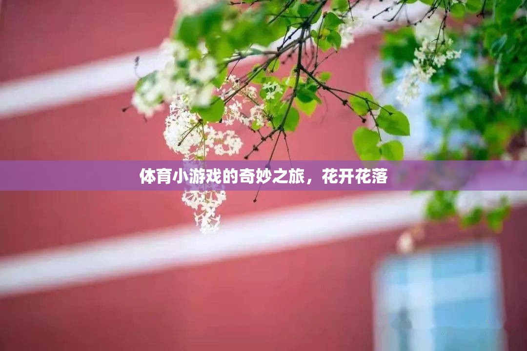 體育小游戲的奇妙之旅，花開(kāi)花落的樂(lè)趣