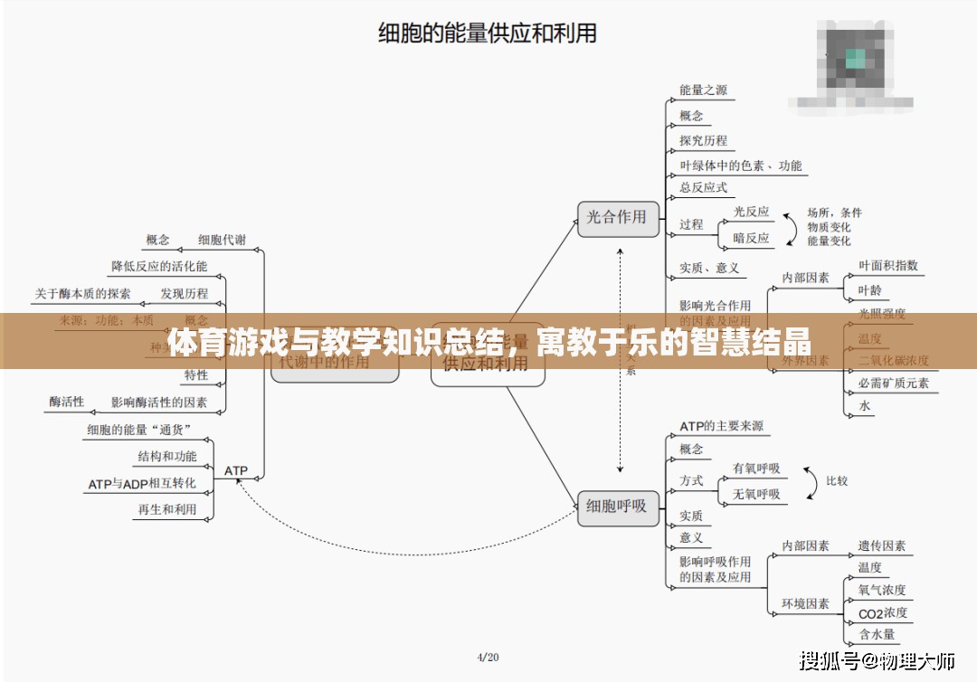 寓教于樂，體育游戲與教學(xué)知識的智慧結(jié)晶