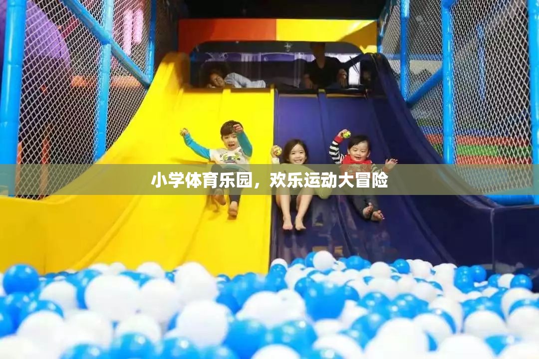 小學(xué)體育樂園，歡樂運動大冒險