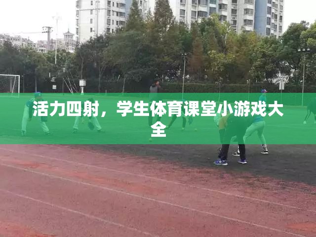 活力四射學生體育課堂小游戲精選