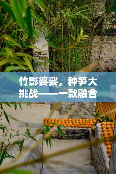 竹影婆娑，種筍大挑戰(zhàn)——自然與競技的完美融合