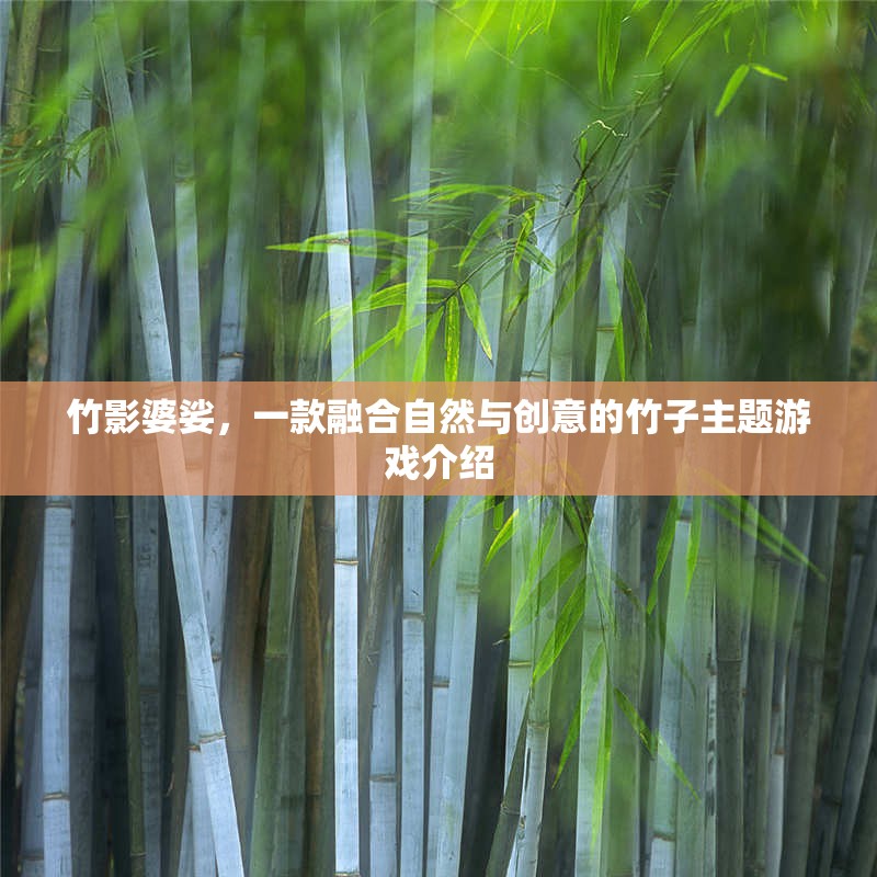 竹影創(chuàng)意，一款融合自然與創(chuàng)意的竹子主題游戲