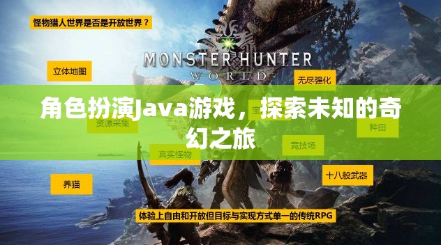 角色扮演Java游戲，探索未知的奇幻之旅