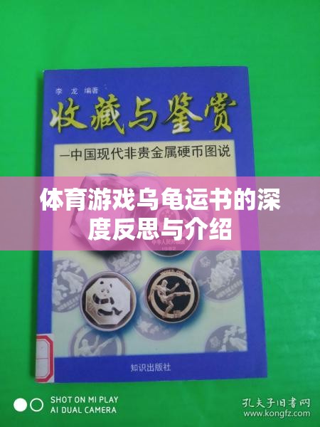 深度反思與介紹，體育游戲烏龜運書的挑戰(zhàn)與樂趣