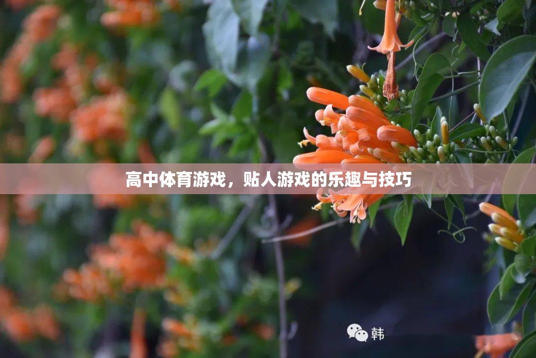 高中體育游戲，貼人游戲的樂趣與技巧