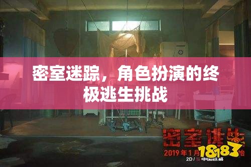 密室迷蹤，解鎖角色扮演的終極逃生挑戰(zhàn)