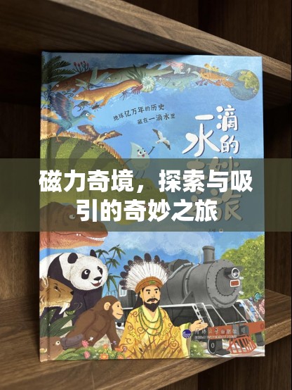 磁力奇境，探索與吸引的未知之旅