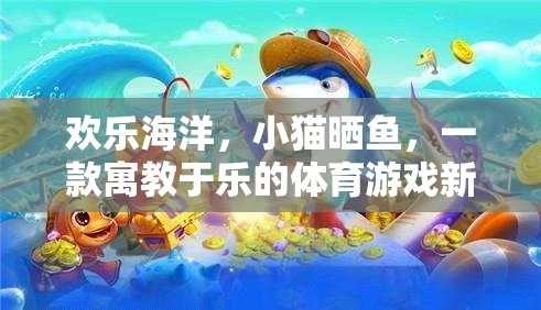 歡樂海洋，寓教于樂的曬魚體育游戲新體驗