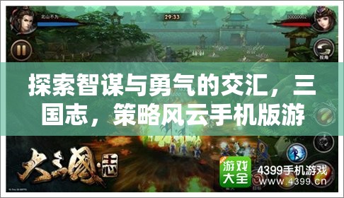 智勇交鋒，三國志策略風云手機版游戲深度解析