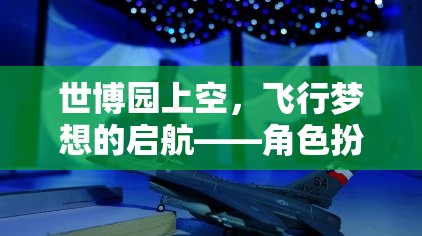 飛行夢(mèng)想的啟航，世博園上空的角色扮演飛行游戲