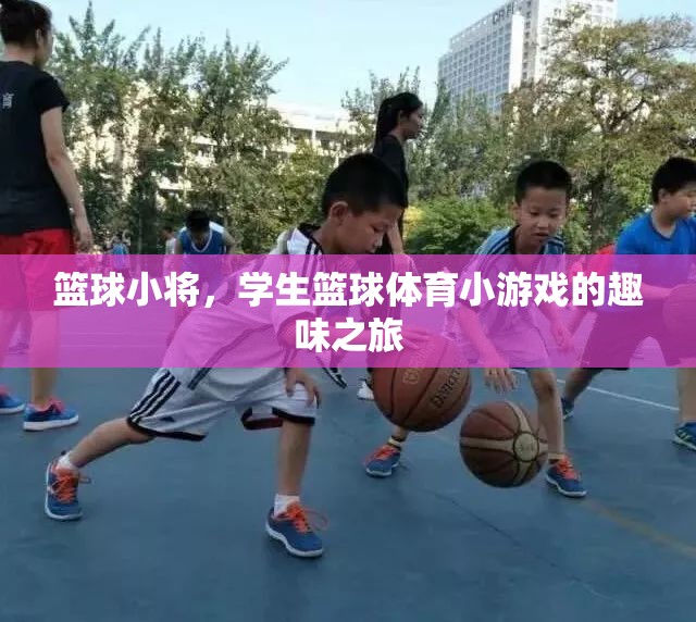 籃球小將，學(xué)生籃球體育小游戲的趣味之旅