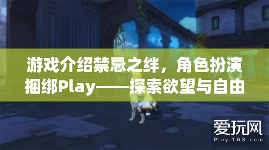 禁忌之絆，角色扮演捆綁Play——探索欲望與自由的邊緣