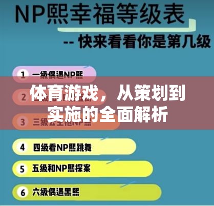 體育游戲，從策劃到實(shí)施的全面解析