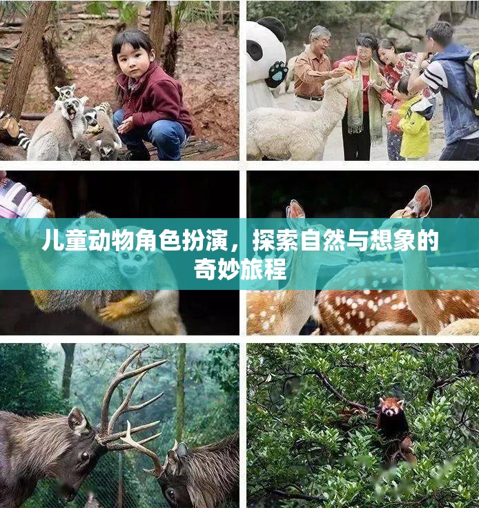 童趣無限，兒童動(dòng)物角色扮演的奇妙自然探索之旅