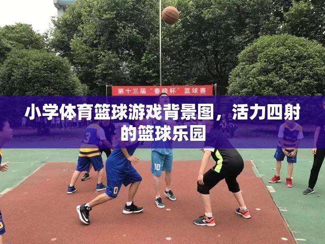 活力籃球樂園，小學(xué)體育的激情背景圖