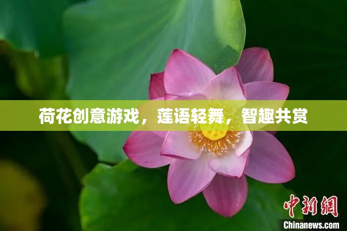 蓮語(yǔ)輕舞，荷花創(chuàng)意游戲，智趣共賞的夏日盛宴