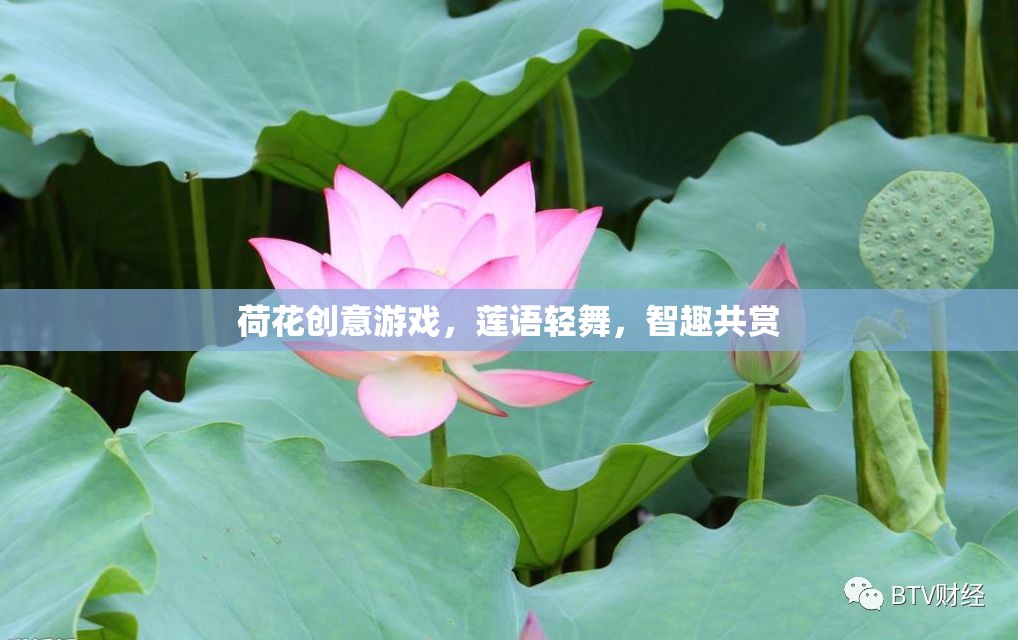 蓮語(yǔ)輕舞，荷花創(chuàng)意游戲，智趣共賞的夏日盛宴