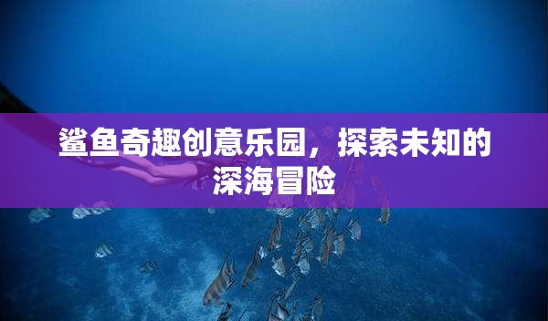 鯊魚奇趣創(chuàng)意樂園，解鎖深海未知的冒險(xiǎn)之旅